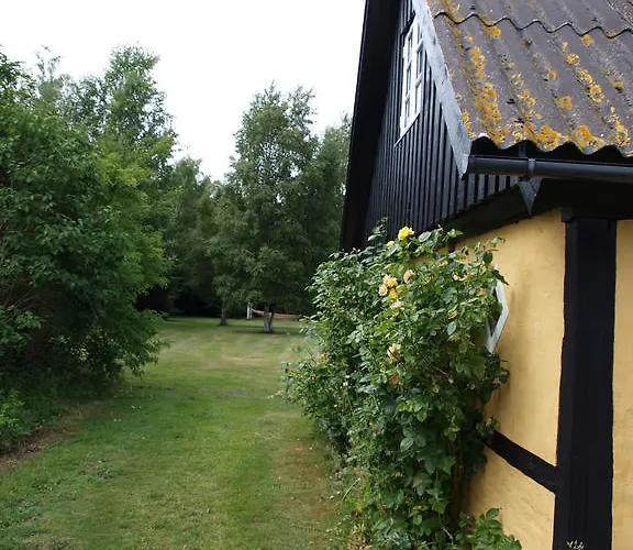 Séjour à la ferme Faedrelandet & Turridning