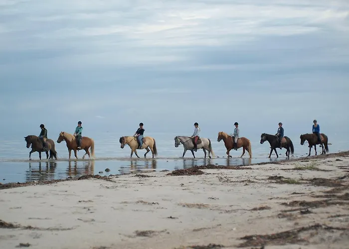 Séjour à la ferme Faedrelandet & Turridning
